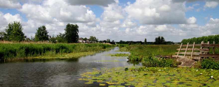Reeuwijkse plassen