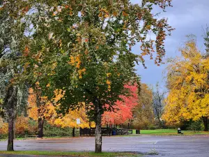 Pass Creek County Park & Campground