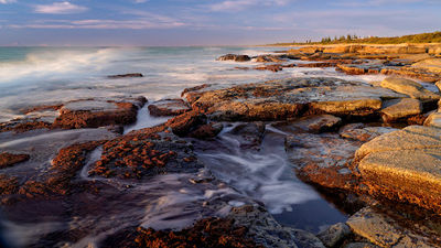 Point Cartwright Reserve