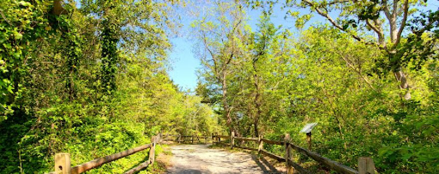 Avalon Dunes and Beach Trail