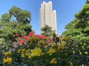 Pervomayskiy park