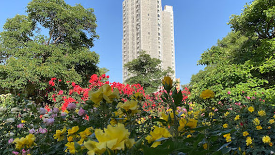 Pervomayskiy park