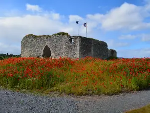Castle Roy