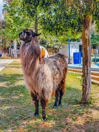 Xol' Che Ecological Park