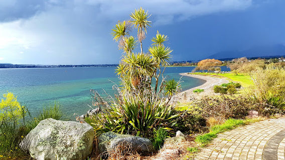 Taupo