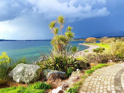 Wharewaka Point (Four Mile Bay)