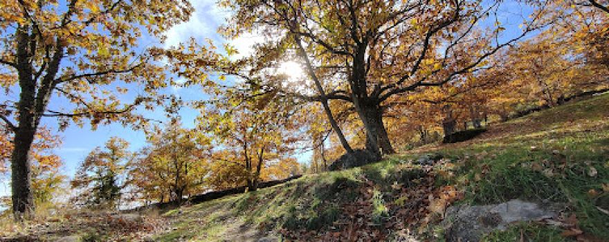 Parque San Nicasio