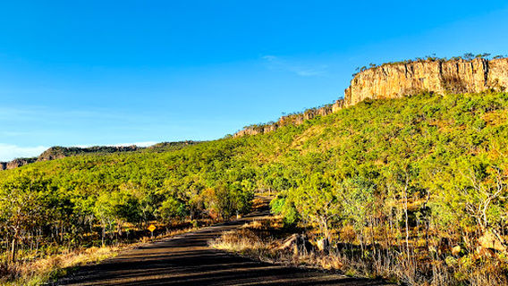 Kakadu