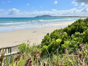 Green Point Campground (CHC)