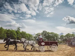 Litchfield Fair