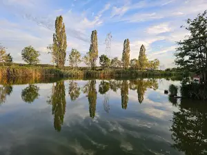 Camping Municipal de Parroy