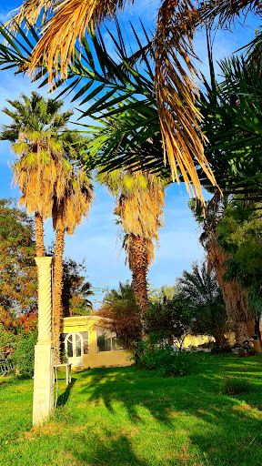 Jeddah to Gafsa Flights