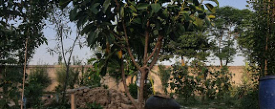 Khaderkhel park