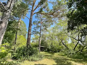 Frank Skinner Arboretum