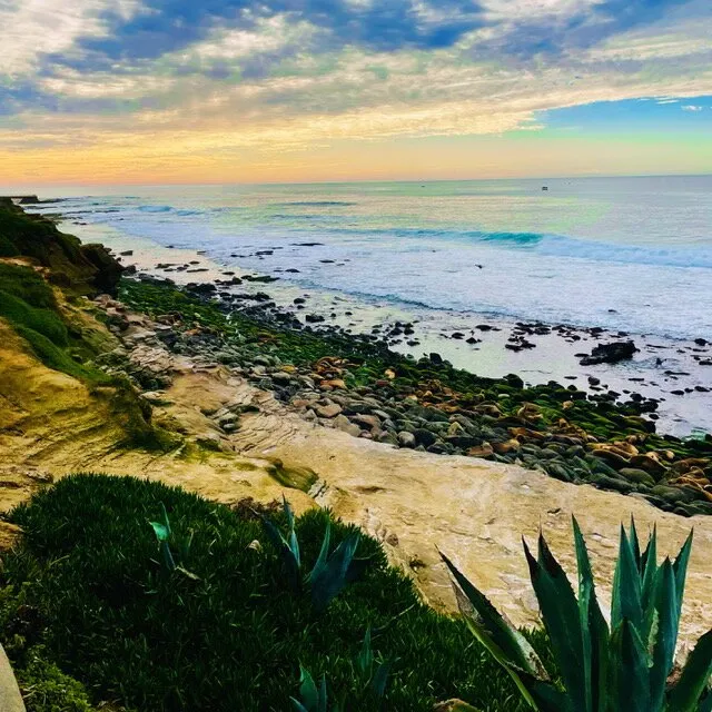 4_La Jolla Cove