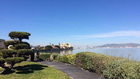 City of Burlingame Shorebird Sanctuary