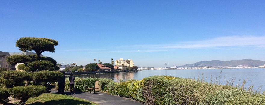 City of Burlingame Shorebird Sanctuary