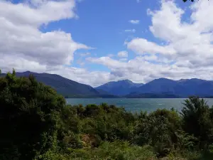Punanga Manu o Te Anau / Te Anau Bird Sanctuary