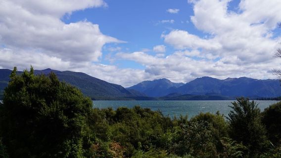 Punanga Manu o Te Anau / Te Anau Bird Sanctuary