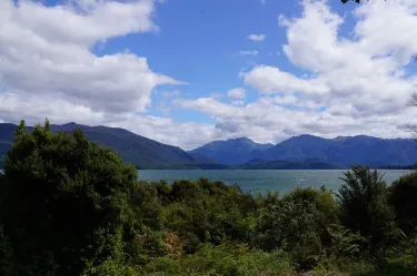 Punanga Manu o Te Anau / Te Anau Bird Sanctuary