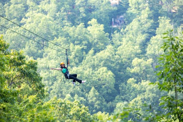 Legacy Mountain Ziplines
