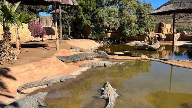 Cocodrilo Park Gran Canaria