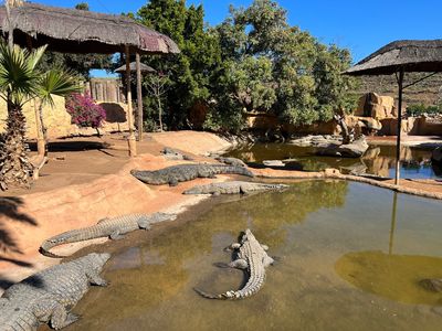 Cocodrilo Park Gran Canaria