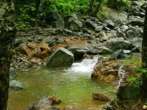 Parco nazionale di Tungareshwar