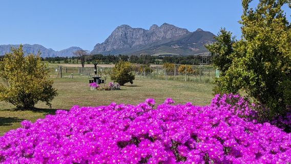 Drakenstein Lion Park