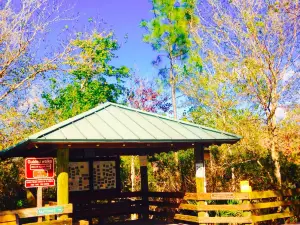 Six Mile Cypress Slough Preserve