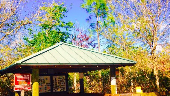 Six Mile Cypress Slough Preserve