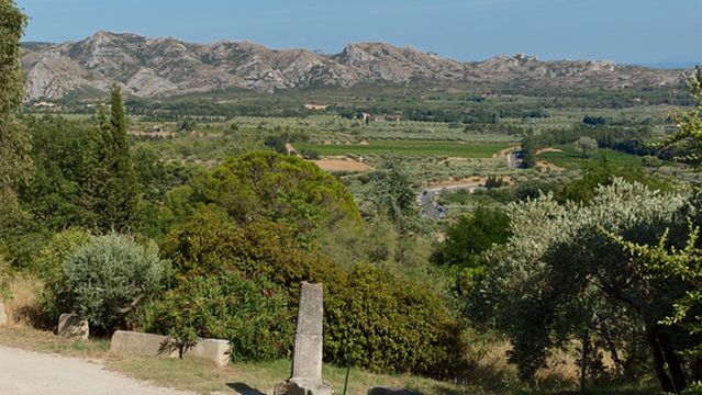 Alpilles Natural Regional Park