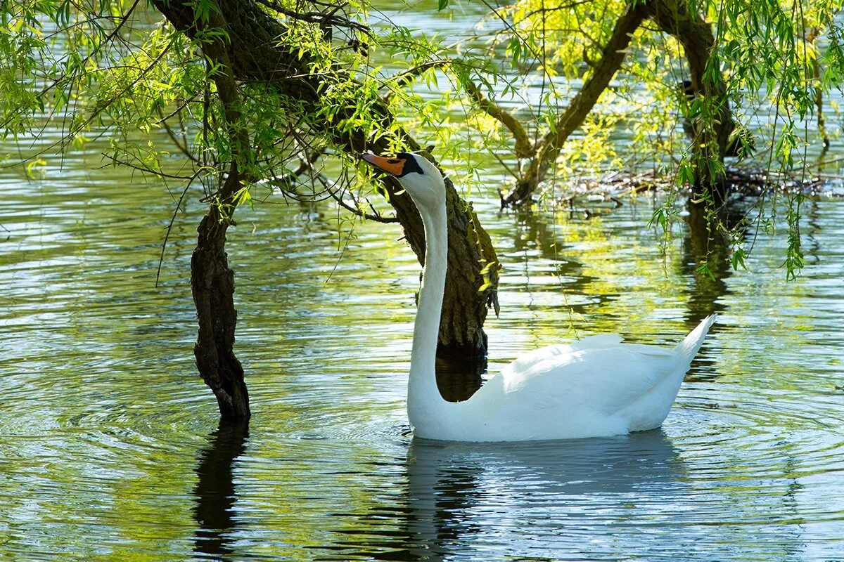 4_Mueritzeum Aquarium