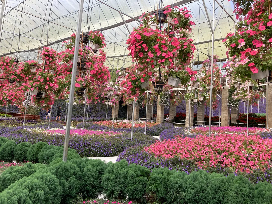 3_Cameron Highlands Flora Park