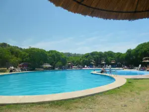 Camping Miguel Lillo