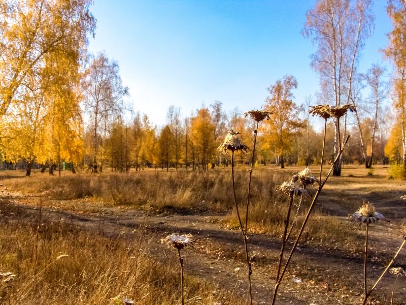 Flüge Brüssel Omsk