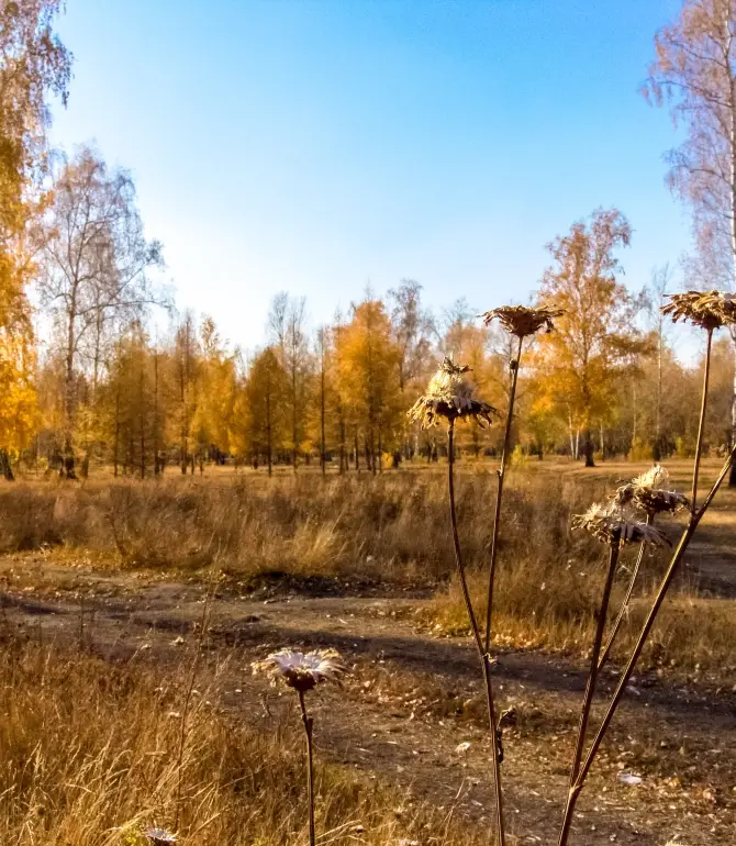 Omsk