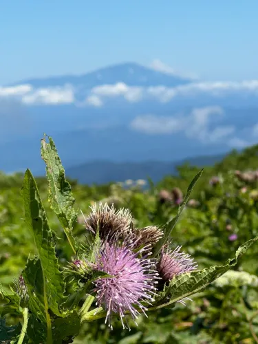 Mount Gassan