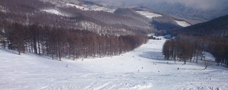 Echo Valley Ski Area