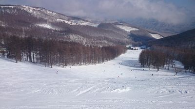 Echo Valley Ski Area