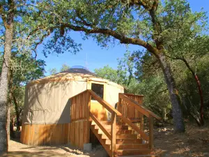 Bothe-Napa Valley State Park