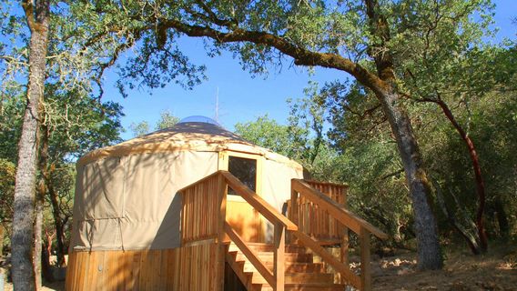 Bothe-Napa Valley State Park