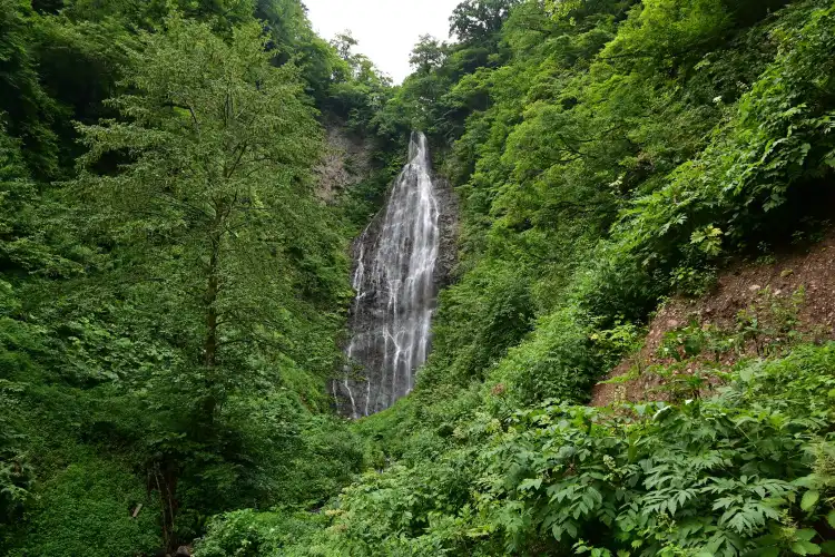 Ajigasawa