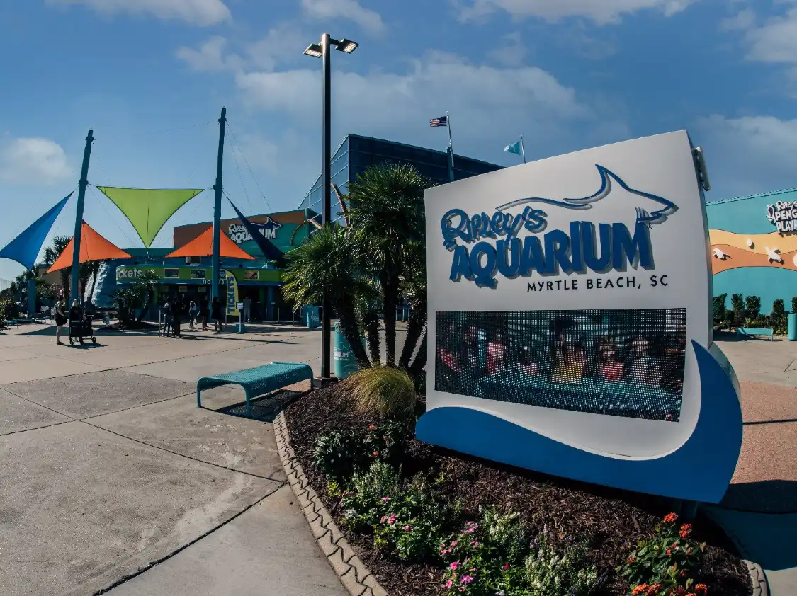 Hotels near Ripley's Aquarium of Myrtle Beach