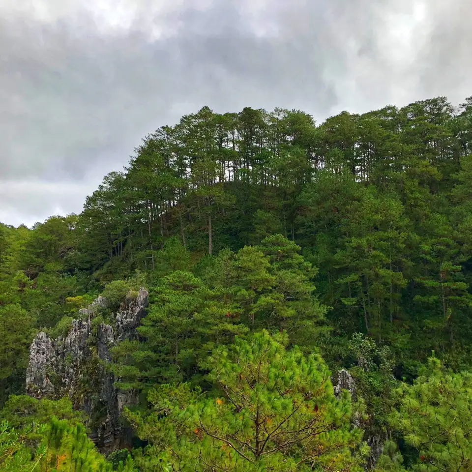 5_Echo Valley