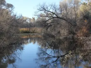 Hassayampa River Preserve