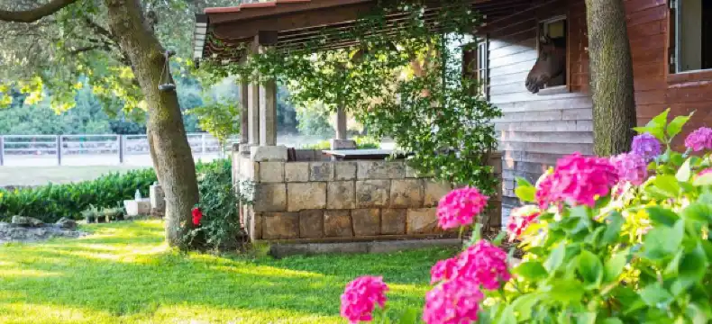 Hotels in Opcina Konavle