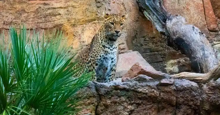 Hotels near Bioparc Fuengirola