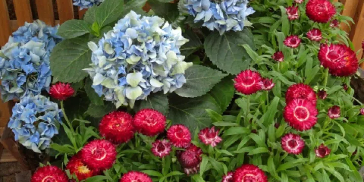 Regina Floral Conservatory