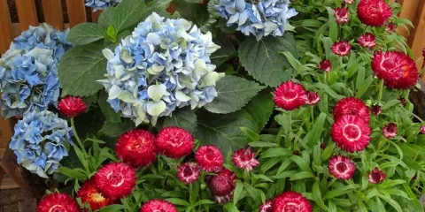 Regina Floral Conservatory